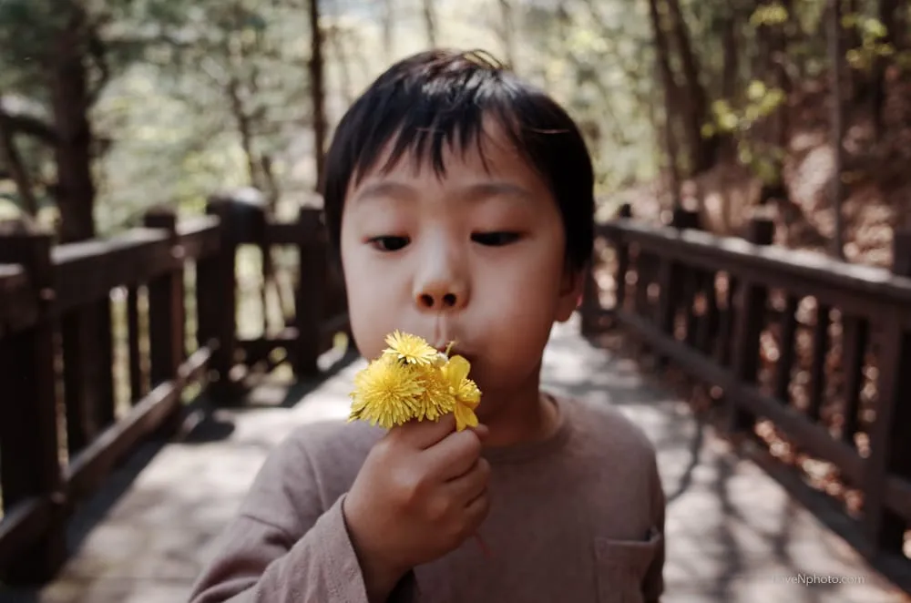 노래하는 풍경 #486