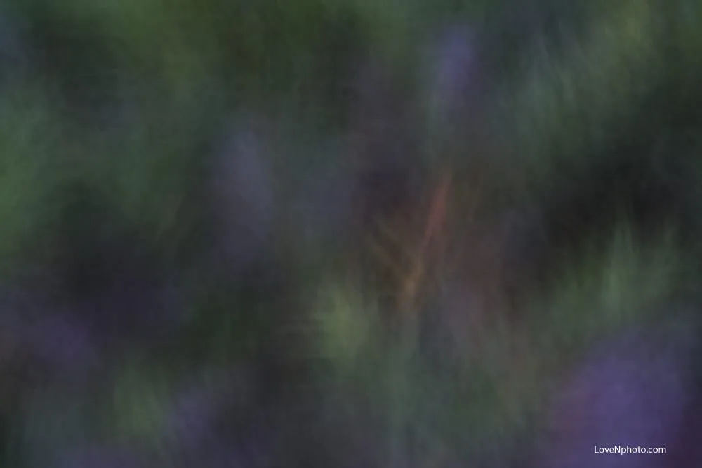 노래하는 풍경 #513