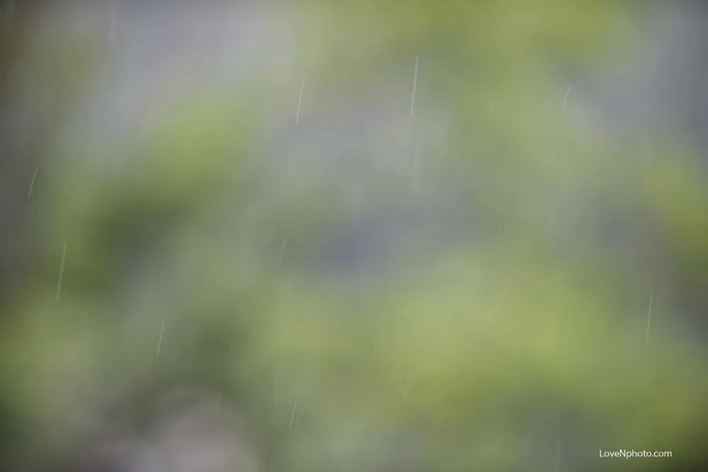 노래하는 풍경 #557