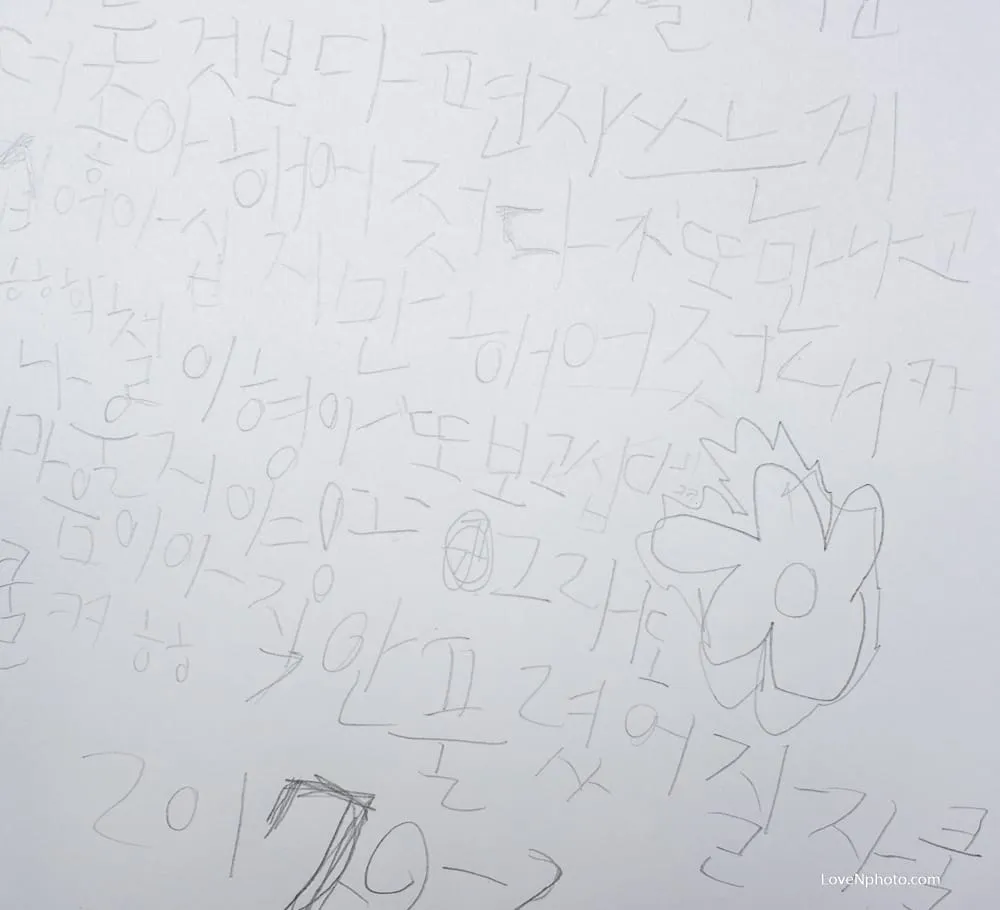 응원해주셔서 감사합니다