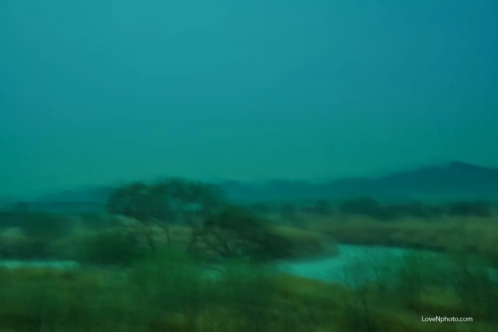 노래하는풍경 #712