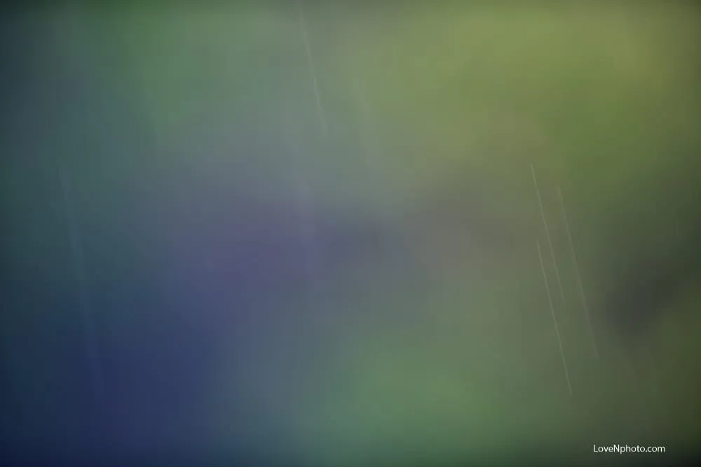 노래하는풍경 #799