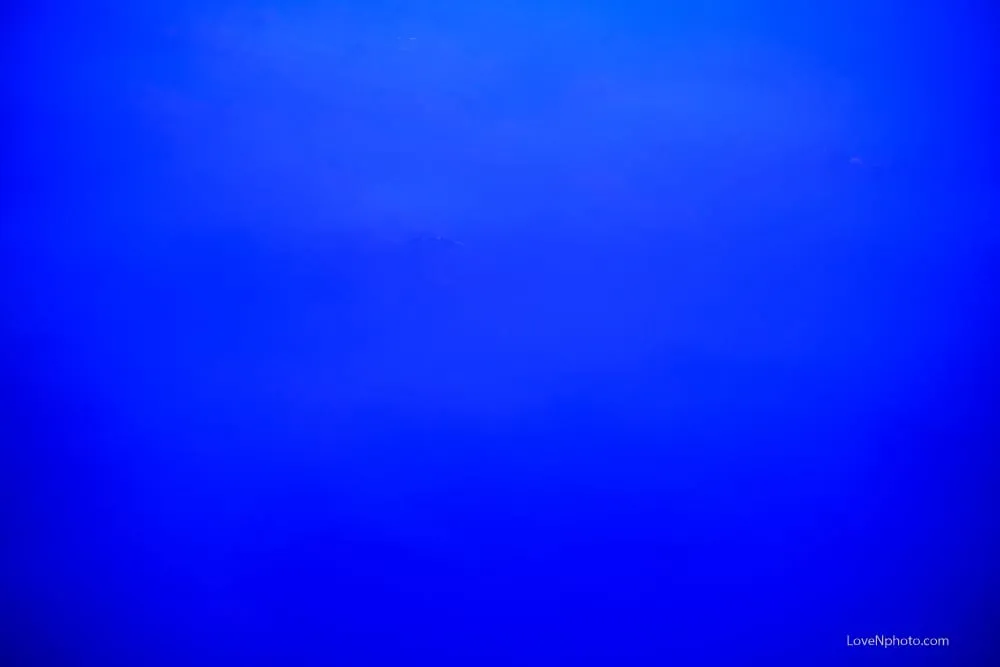 노래하는풍경#839