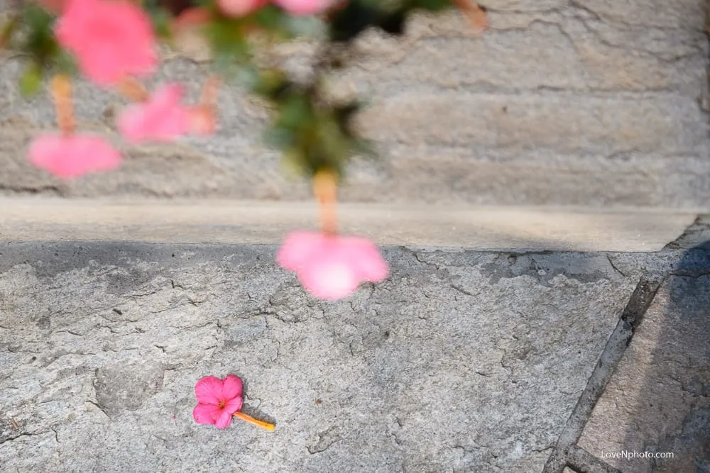 노래하는풍경#882