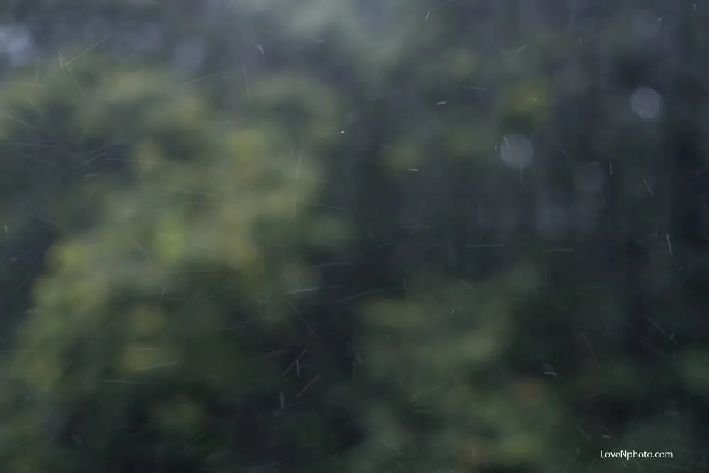 노래하는풍경#972