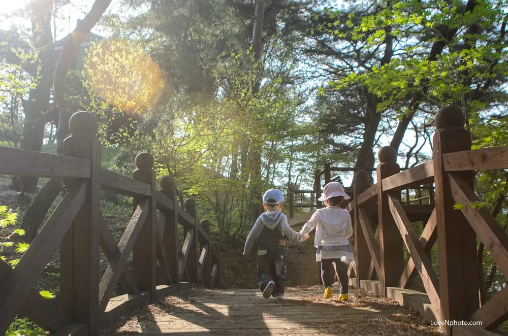 노래하는풍경#963