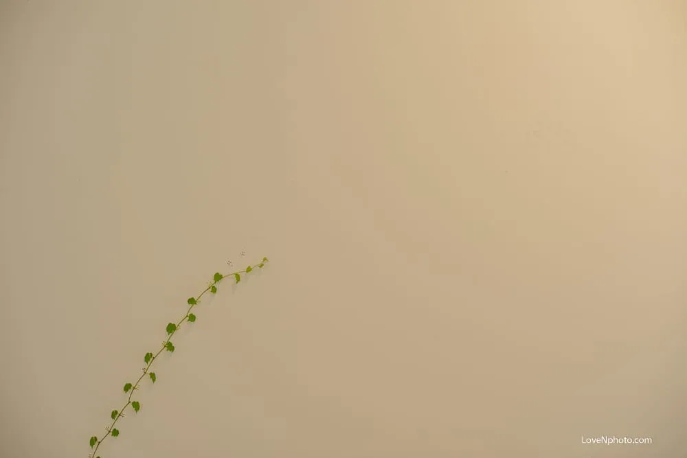 노래하는풍경#969