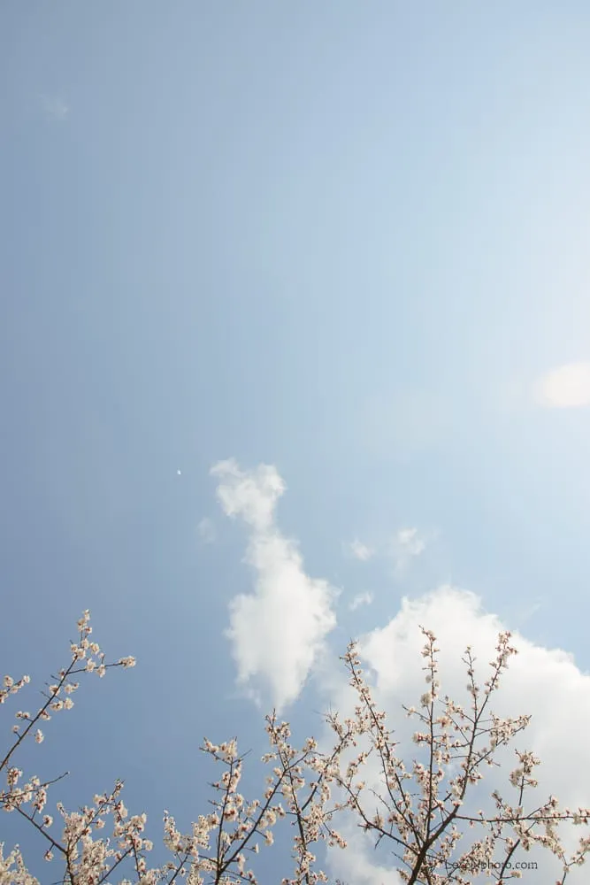 노래하는풍경#1074