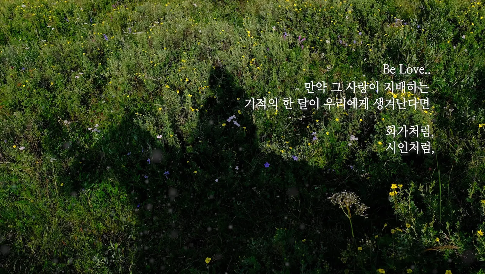 사랑이 지배하는 하루를 살 수 있다면