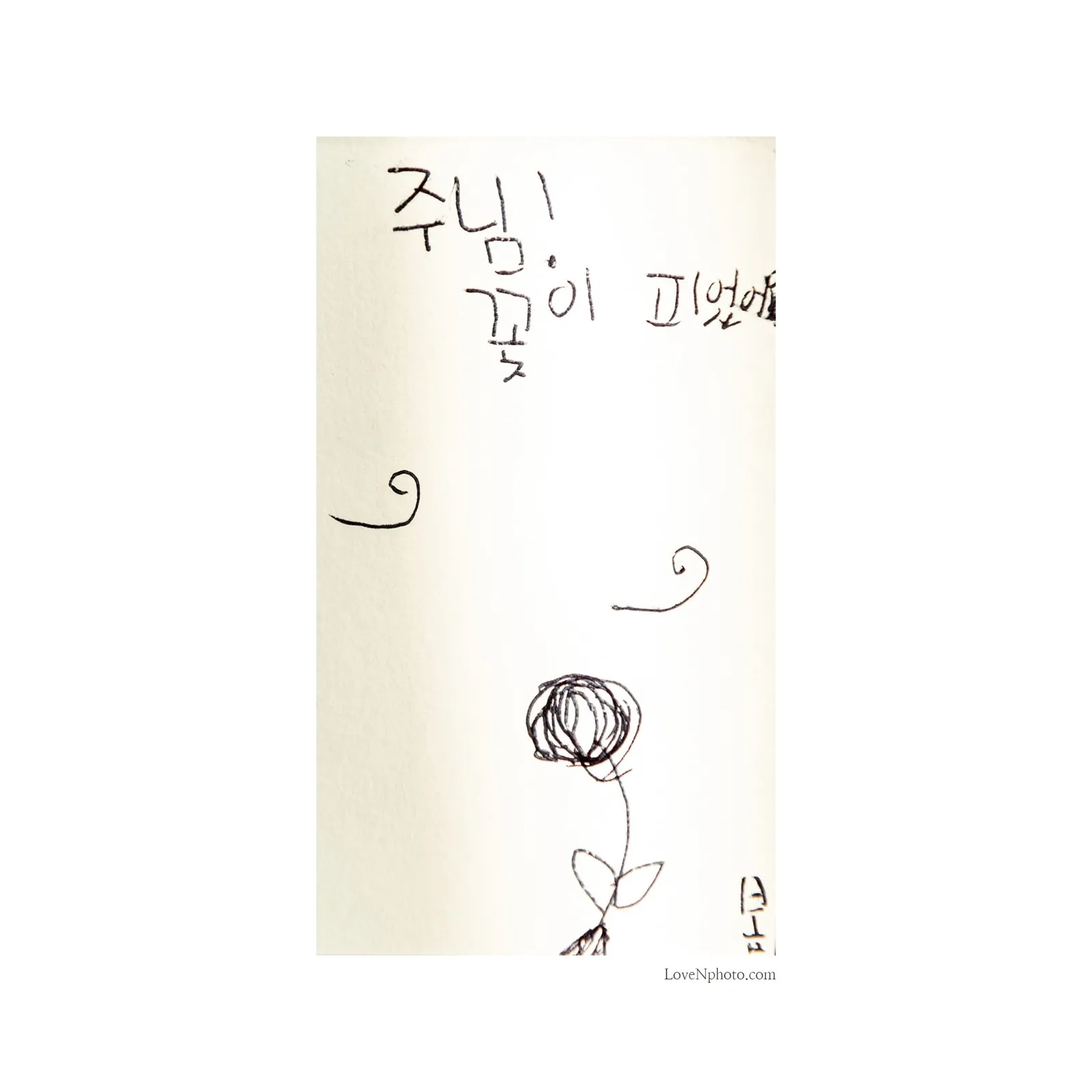 주님 꽃이 피었어요