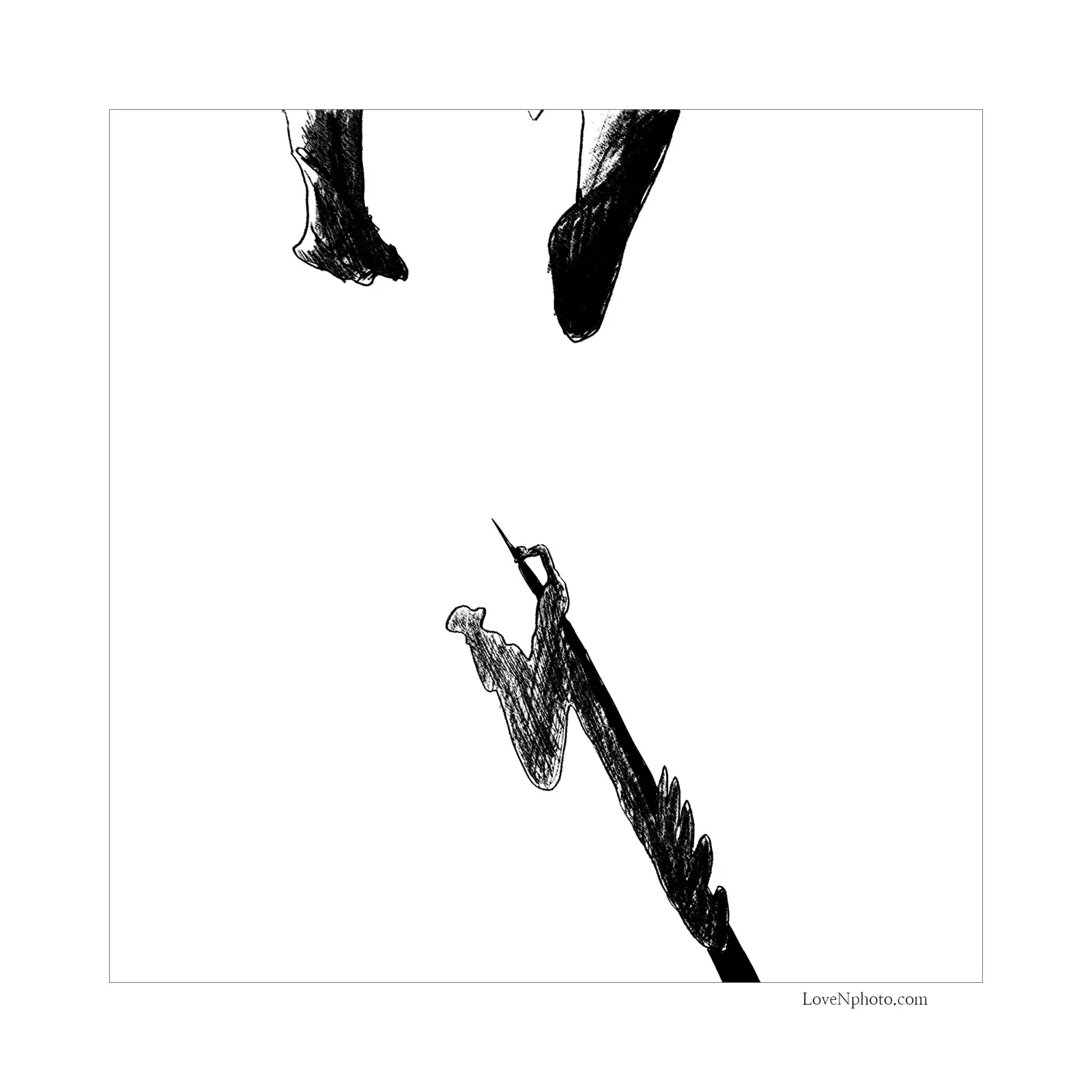 비느하스의 창