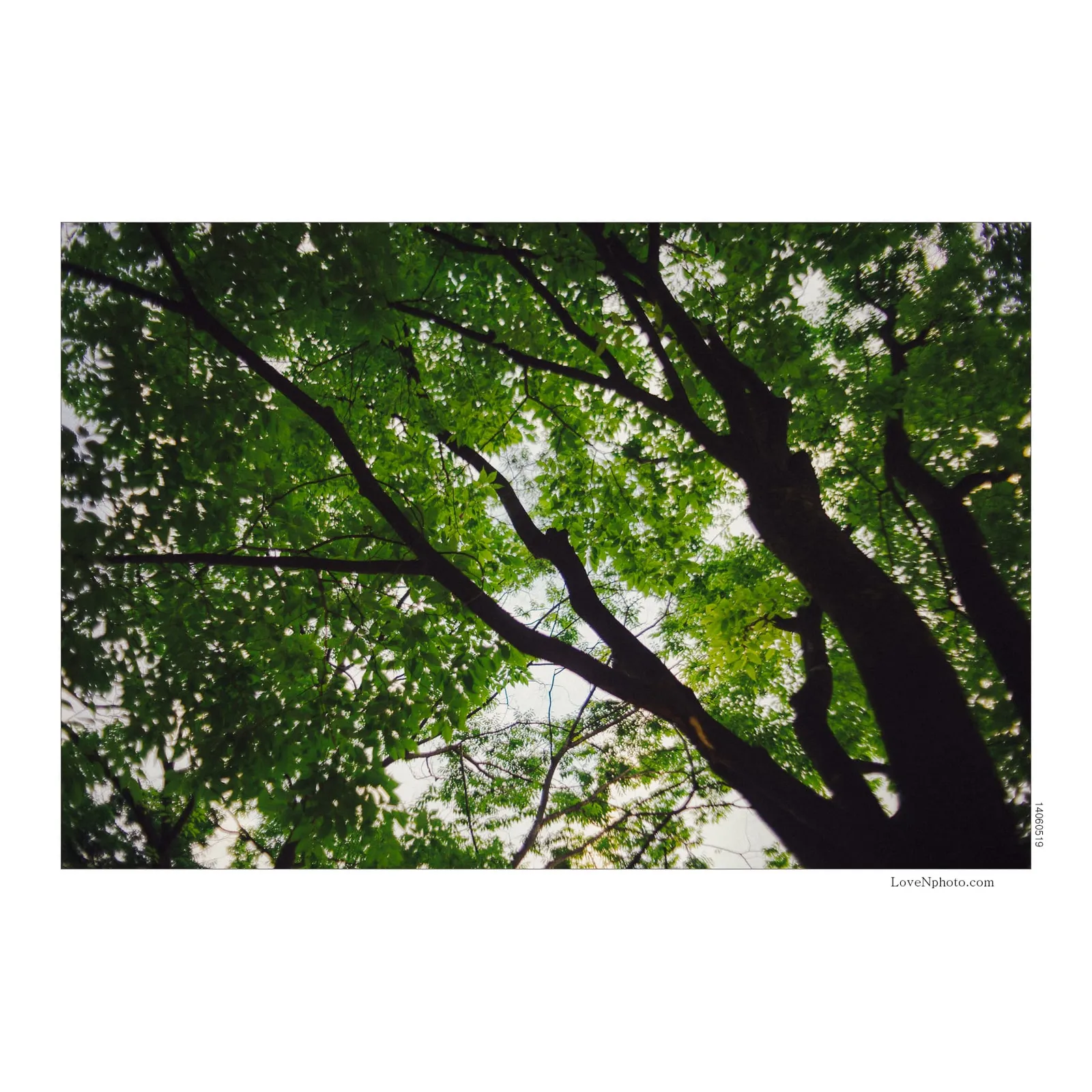 결코 되지 말아야 할 사람