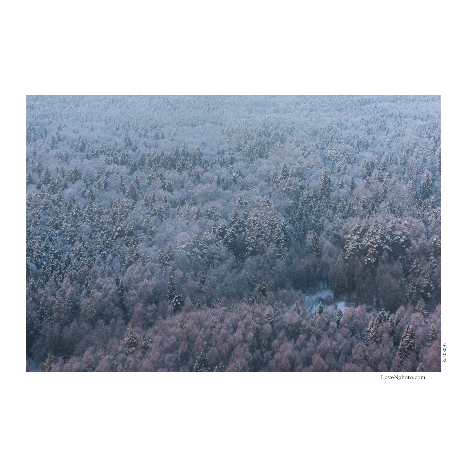인생의 주인이 누구인가