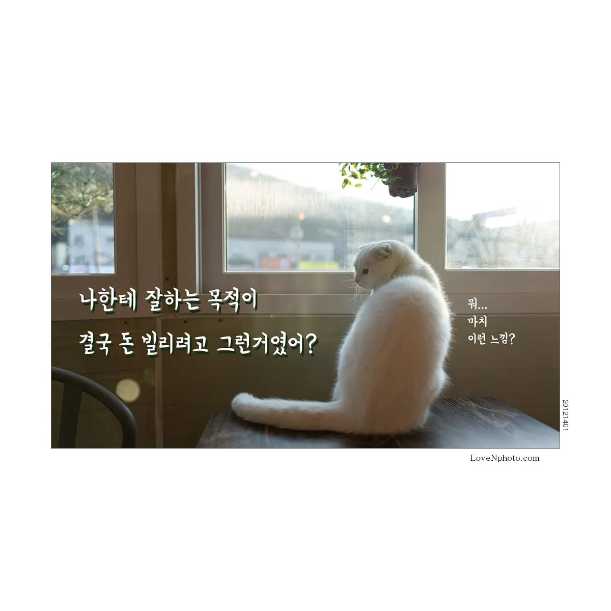 폭탄주 말다가 복음전도?