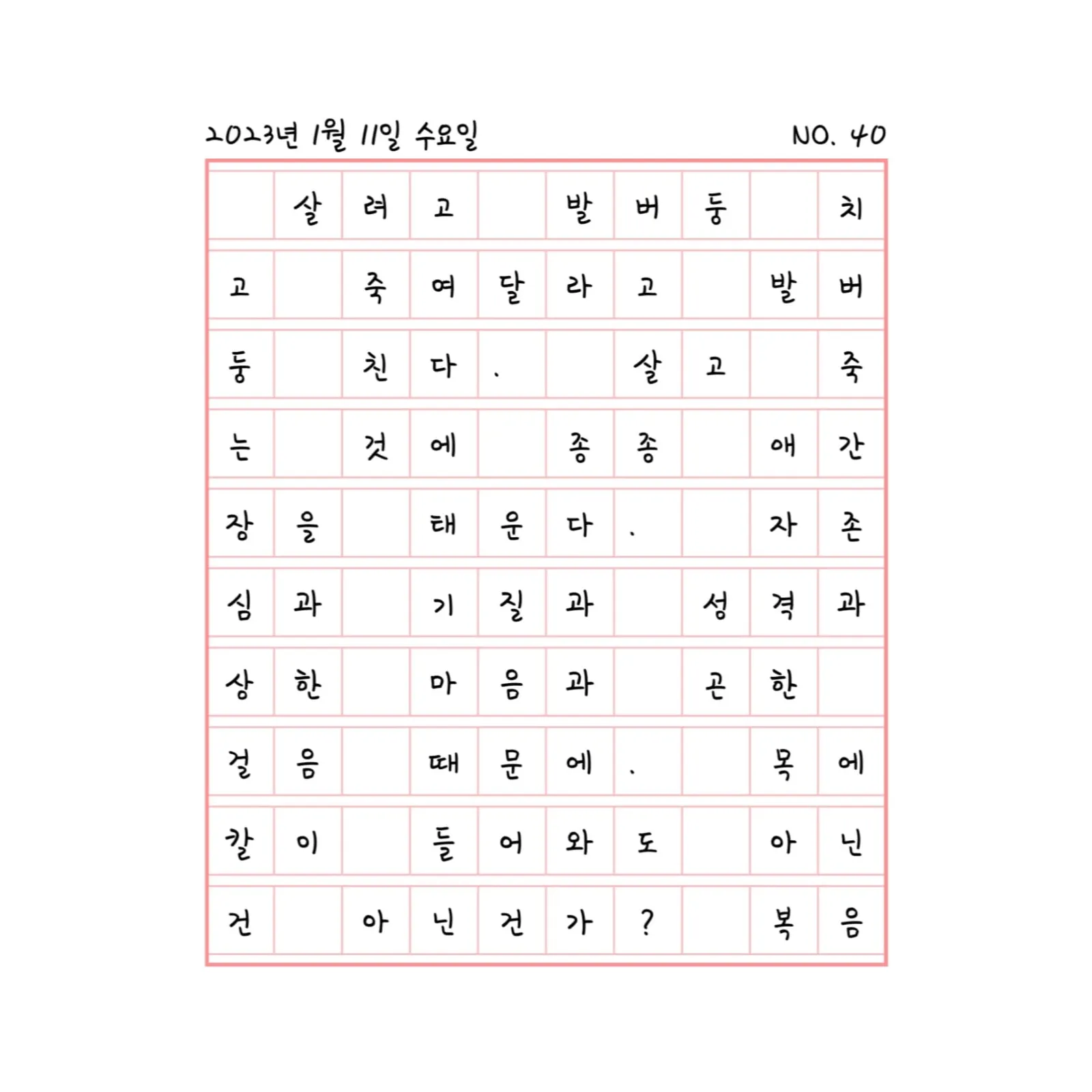 길을 비춘다