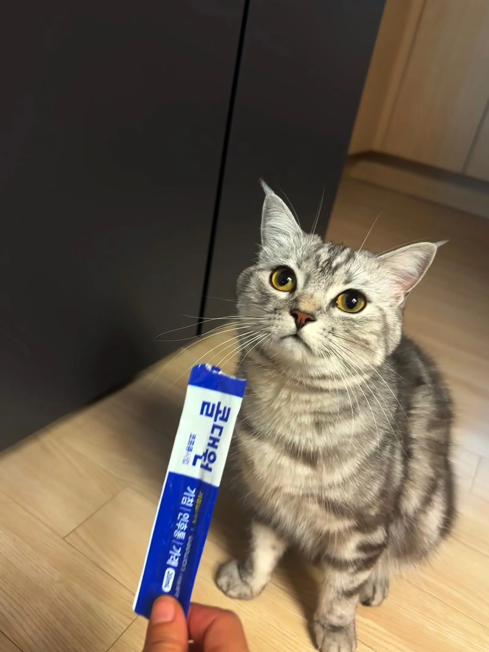 츄르는 사랑