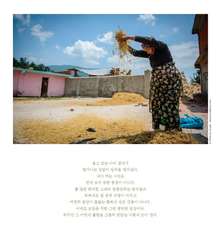 2016 캘린더 리뷰
