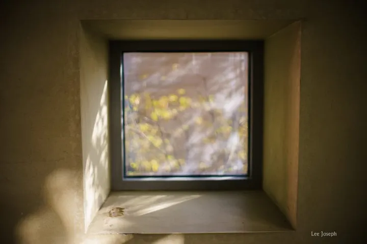고독과 믿음과 변증