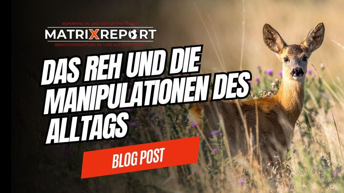 Wie unser Gehirn uns an der Nase herumführt Post feature image