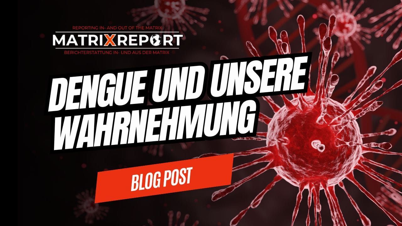 🔑Dengue und unsere Wahrnehmung feature image