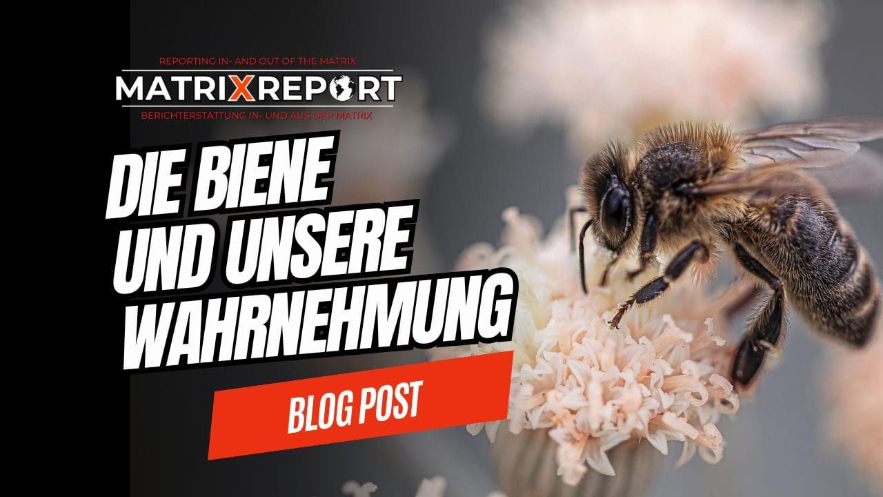 Wie wir die Gesetzmäßigkeiten der Realität außer Kraft setzen! feature image