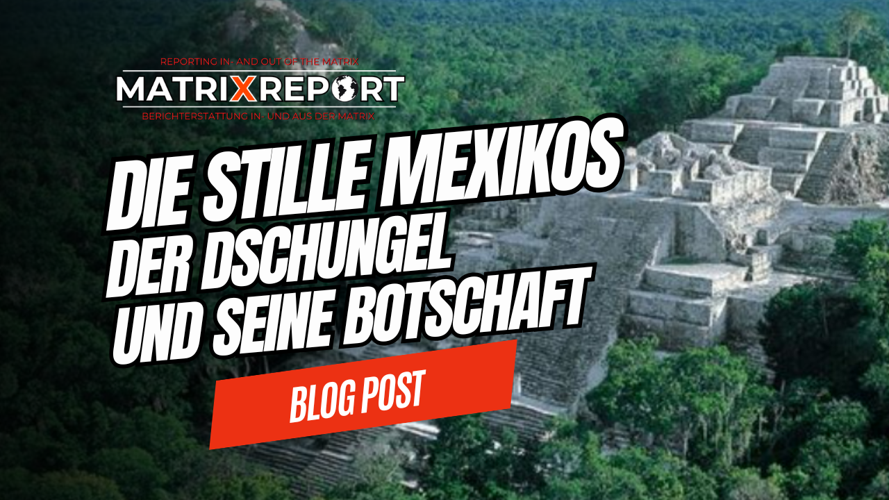 🔑Die Stille Mexikos - Der Dschungel und seine Botschaft feature image