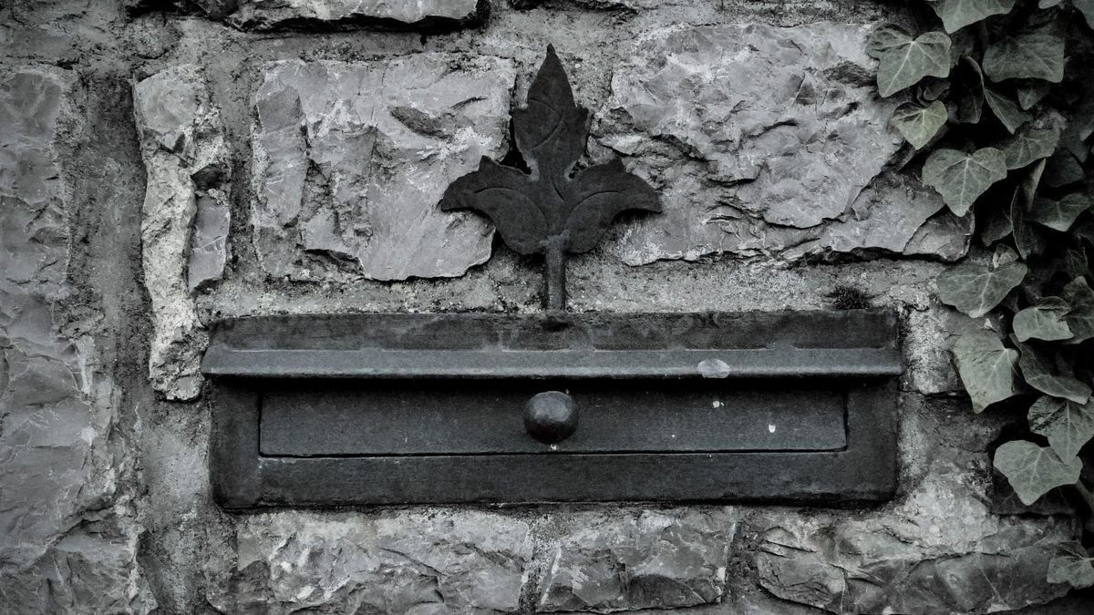 #117 – Közéleti beszélgetések | Elfeledett parkolók | Tartalmi együttműködések