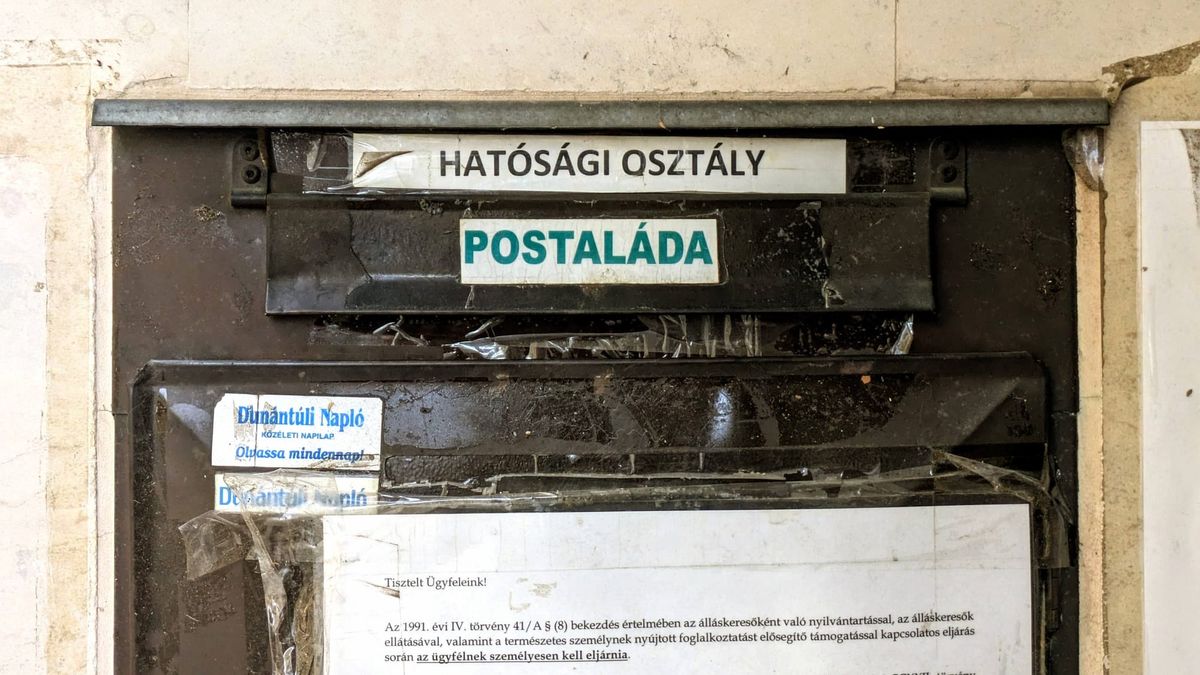 #171 – Egyetemi különszám | Szíriai csokoládé | Karácsonyi üdvözlet