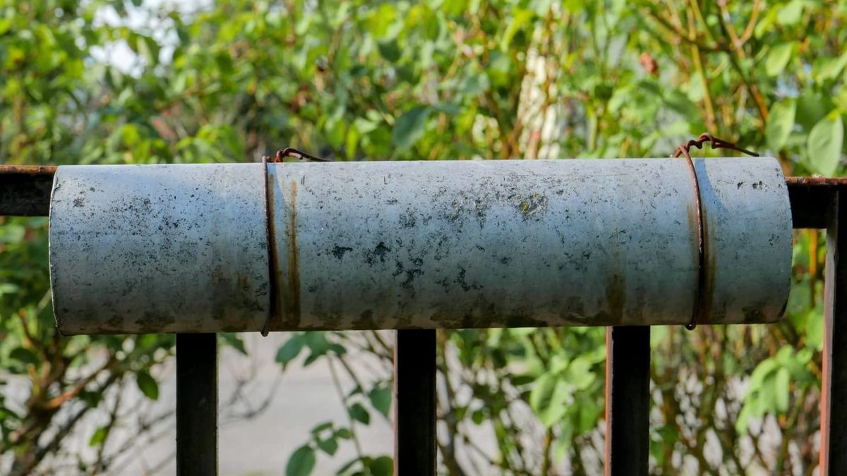 #212 – Borászati trianon | Pécsi rektorjelölt | Generatív moslék