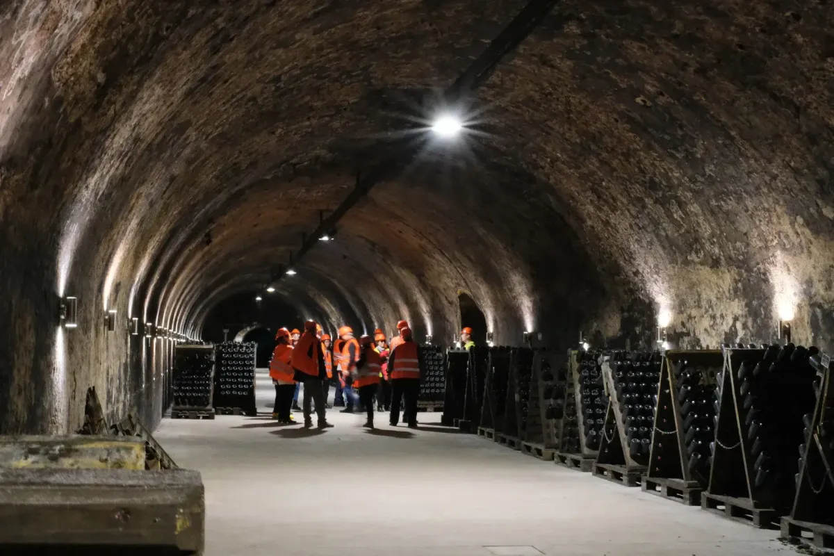 A katasztrófát elhárították, de a pécsi belváros pincerendszere ma sincs teljesen kihasználva