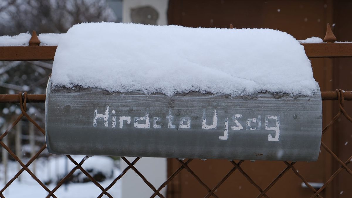 #222 – Hóba fekvés | Esernyős csukás | Tarra vágás