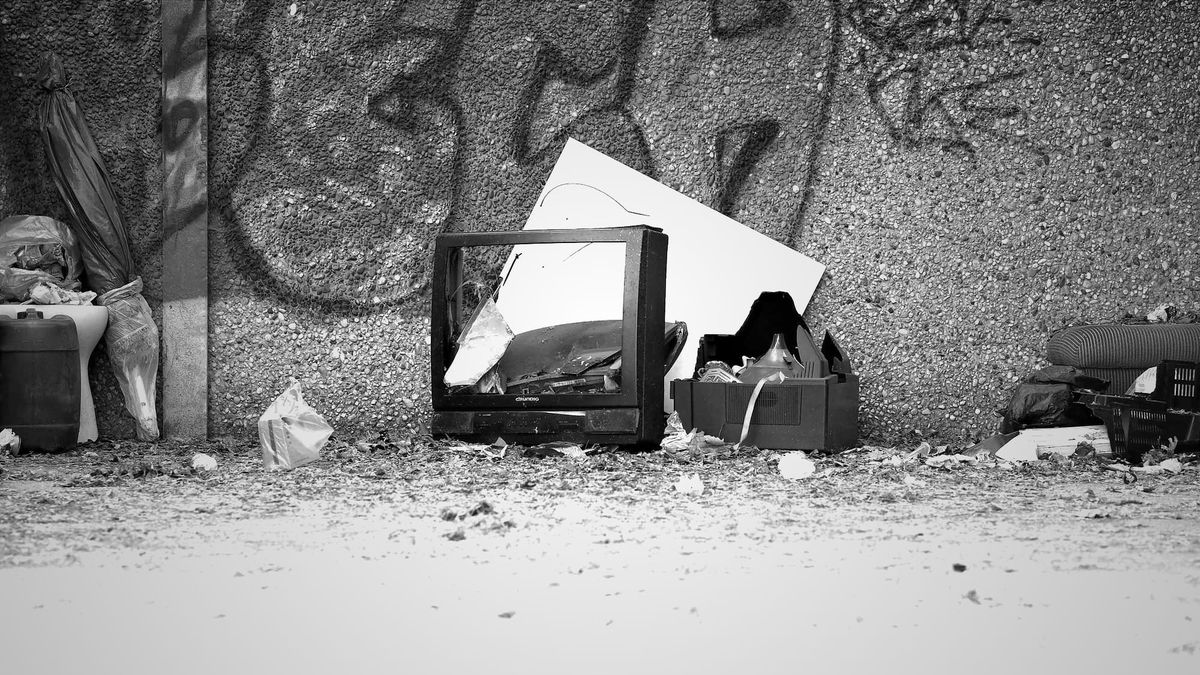 #236 – Búékozás | Áttelelés | Piroslapozás