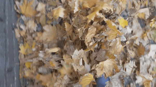 #11 – Kiment |  Nem jött be | Eldőlt