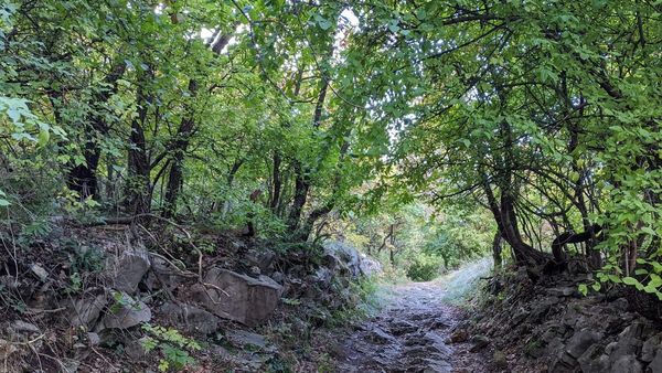 Van, ahol receptre jár – kipróbáltuk a Mecseki Erdőfürdőt