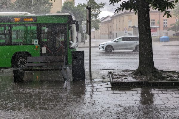 Városi esőkertek: villámárvizek és hőhullámok ellenszerét kutatják Pécsen