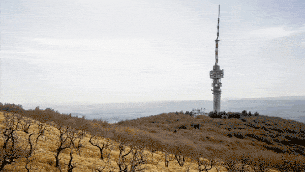 A túlhasználat legalább annyira veszélyes a Mecsekre, mint a klímaváltozás