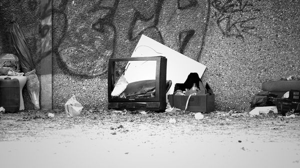 #236 – Búékozás | Áttelelés | Piroslapozás