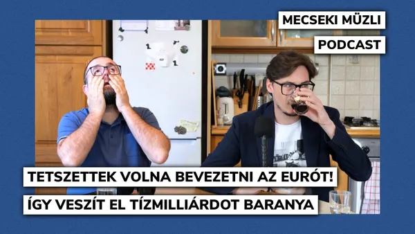 Tetszettek volna bevezetni az eurót! Így veszít el tízmilliárdot Baranya
