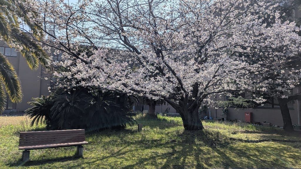 Photos (3 avril 2026)