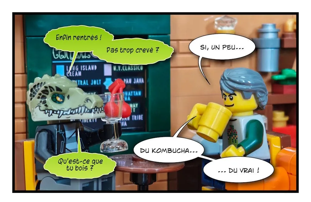 Retour de France : Le Kombucha