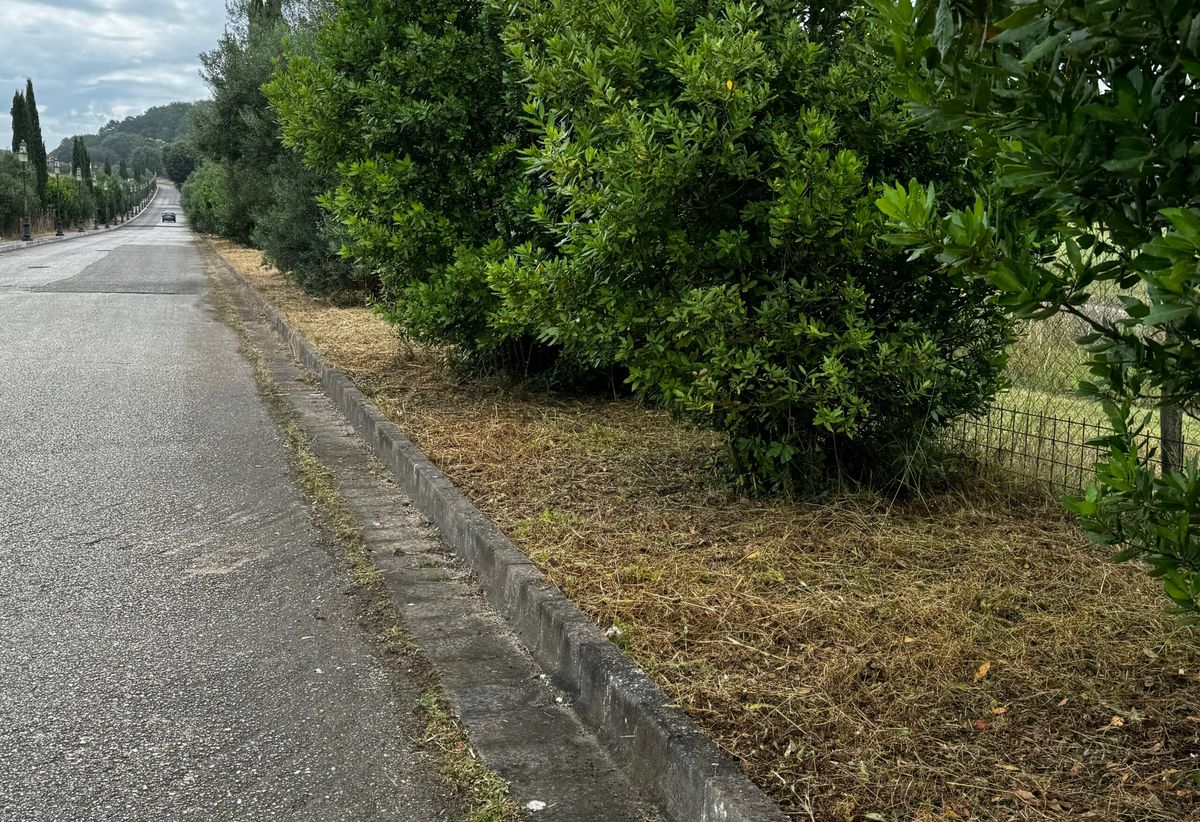 Terre dei consoli, il Comune al lavoro ma c’è il rischio di interruzione elettrica