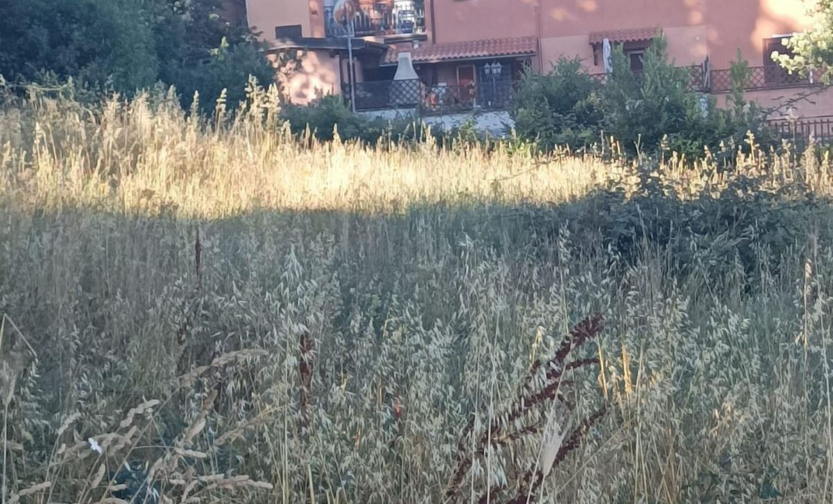 Cittadini preoccupati per il rischio incendi e il decoro urbano