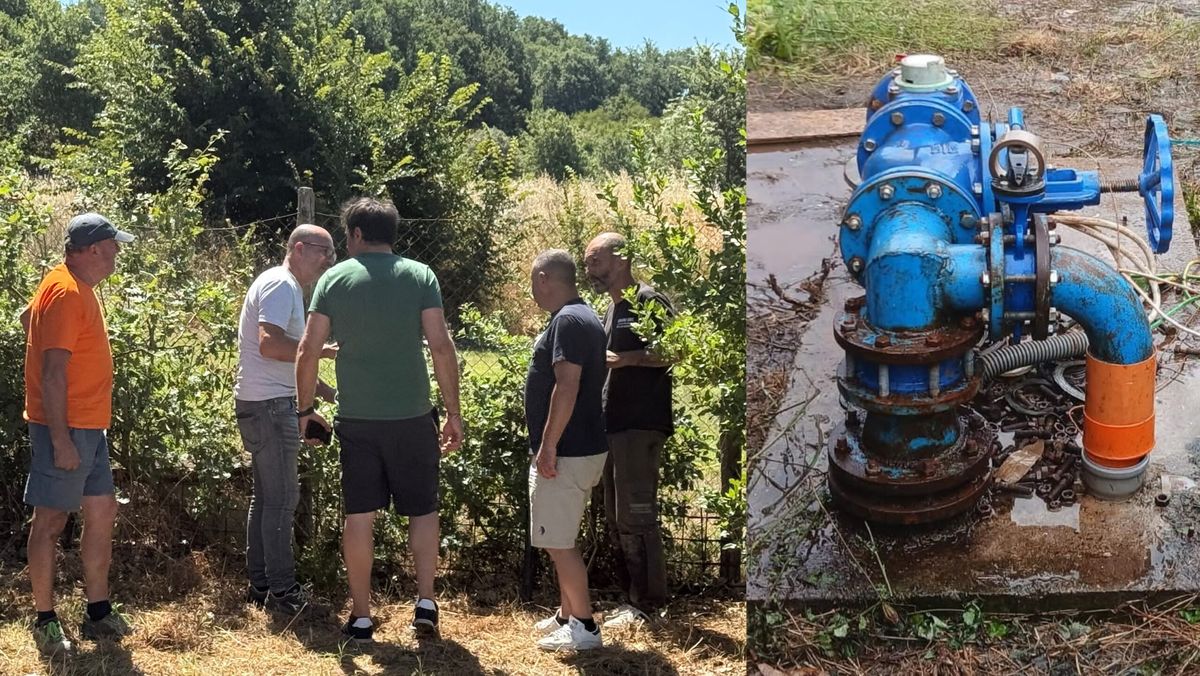 Emergenza rientrata. Ora è il momento delle domande (e delle responsabilità di Talete)