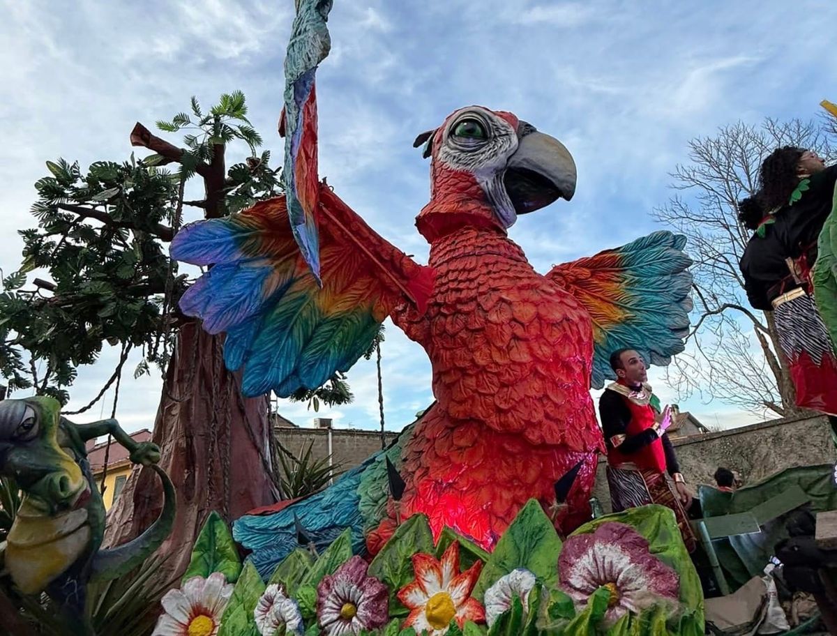 Eskezzonia è il carro più apprezzato: vince il sondaggio di Monterosi24 con il 40% dei voti