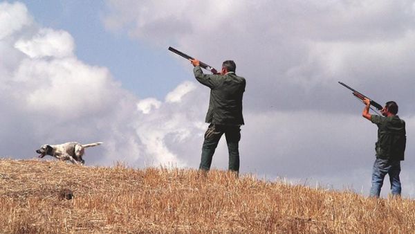 Caccia, oggi l’ultimo giorno nel Lazio: nessuna proroga, stop da mezzanotte