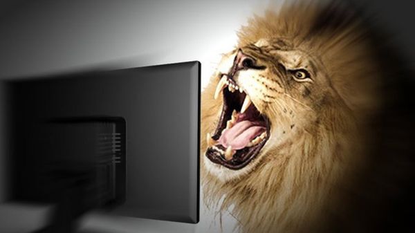 “Quando la critica colpisce gli amici, diventa intollerabile” – Lettera aperta del direttore