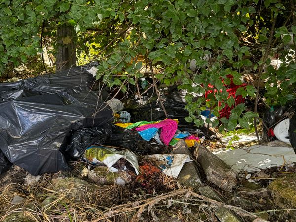 Rifiuti abbandonati: la Giunta propone la videosorveglianza per combattere il fenomeno