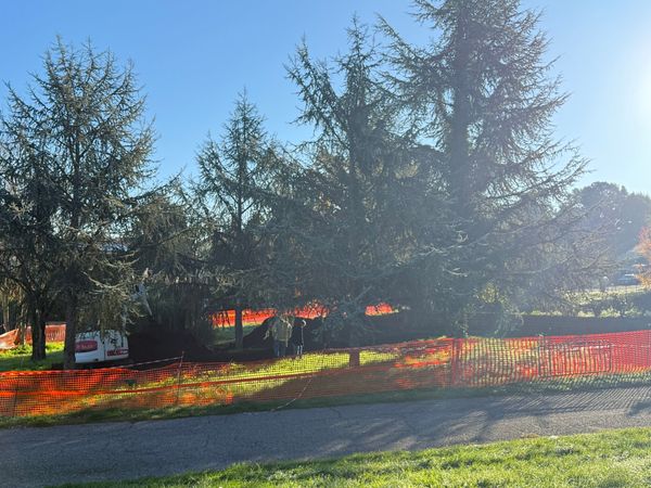 Partiti i carotaggi in via Dante Alighieri: serve davvero un nuovo asilo nido a Monterosi?