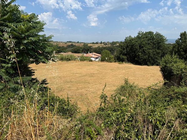 Dopo l’incendio, scatta la pulizia: tanti cittadini in prima linea