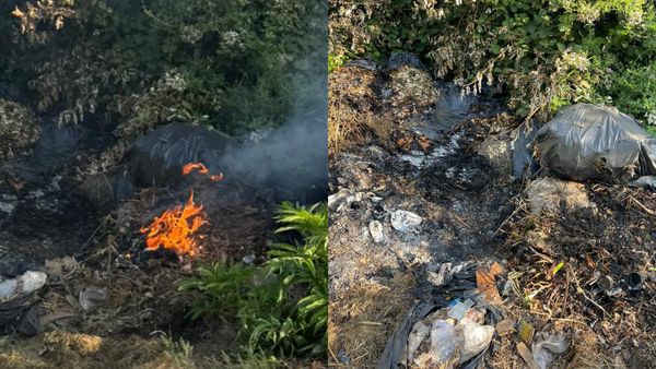Principio di incendio su una traversa di via Fonte Termini: intervengono un cittadino e un volontario fuori servizio della Protezione Civile